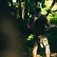 Шорты Helikon-Tex Cargo Shorts
